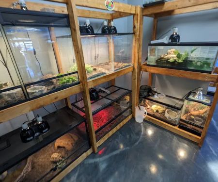 Royal Union Pets Co.