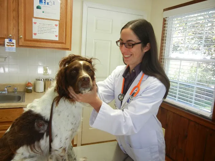 Advanced Veterinary Care Picture 4