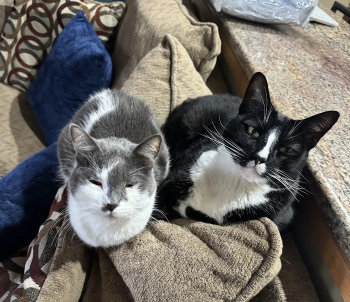 Advanced Veterinary Care Picture 10