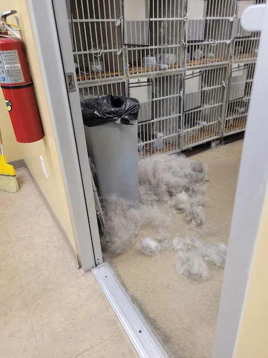 Petco Picture 4