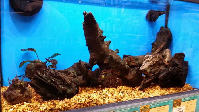 Petco Picture 3