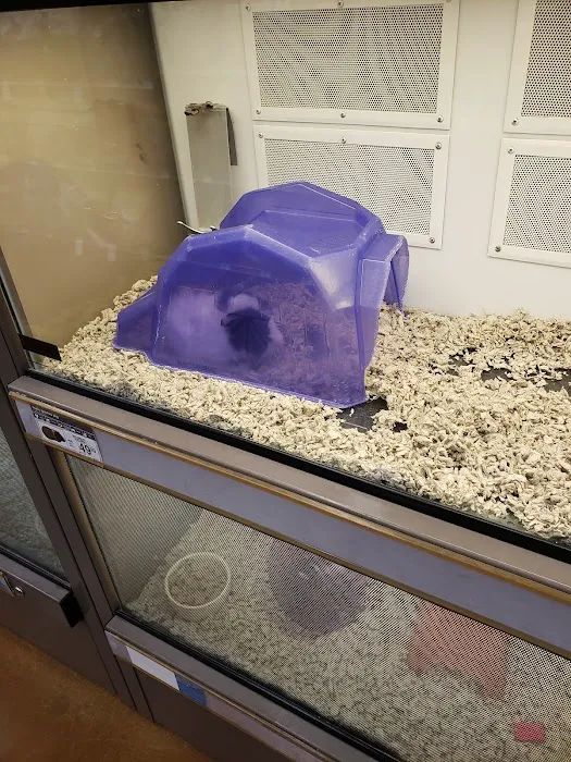 Petco Picture 2