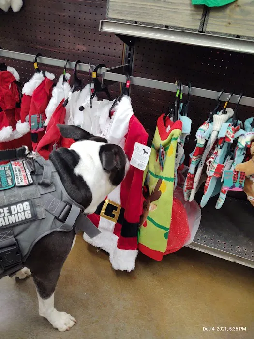 Petco Picture 7