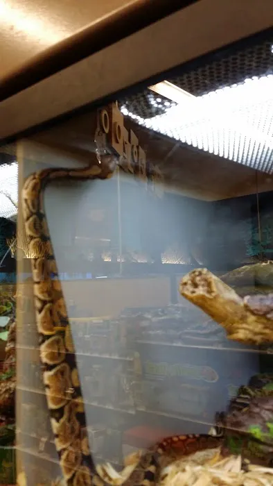 Petco Picture 10