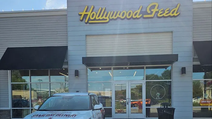 Hollywood Feed Picture 3