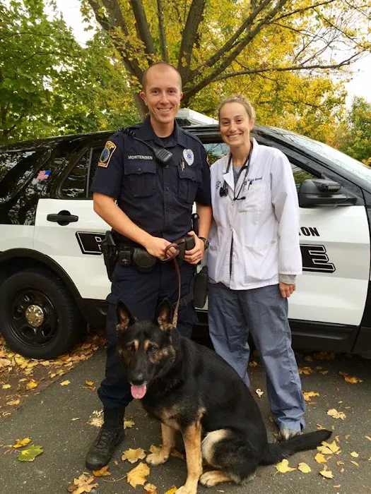 Star Meadow Animal Clinic Picture 7