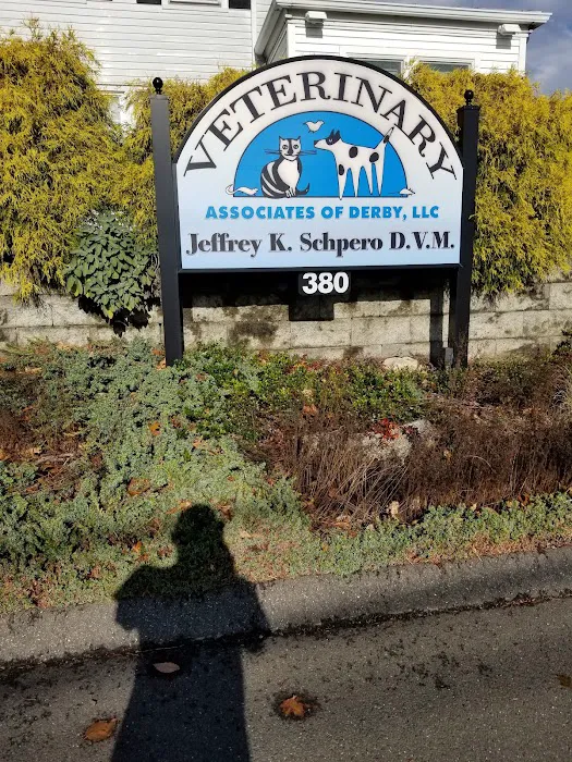 Veterinary Associates of Derby, LLC Picture 8