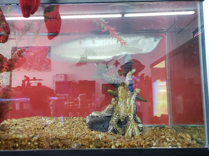 Aquatic Interiors Sea Cave Picture 1