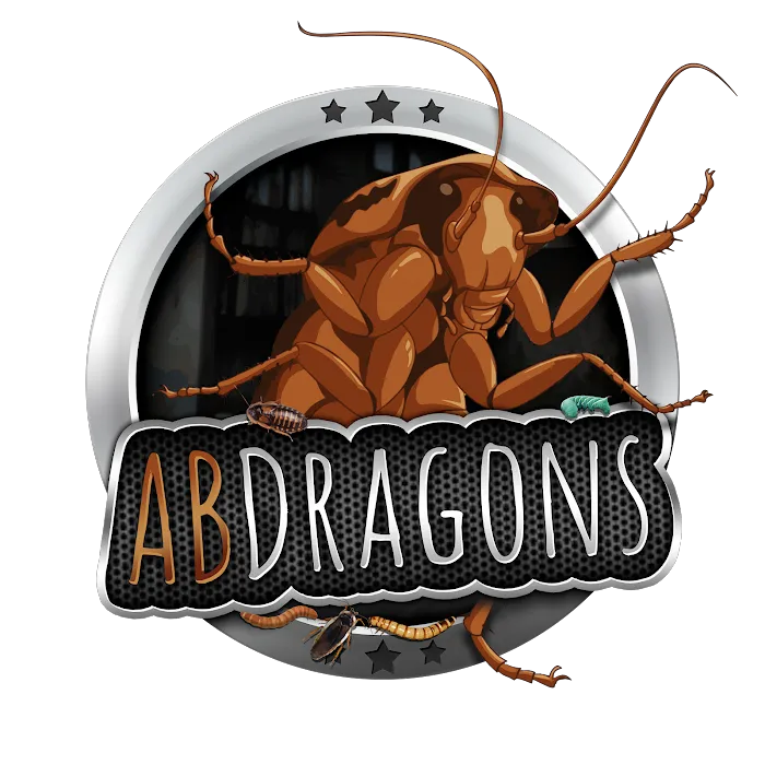 ABDragons Picture 2
