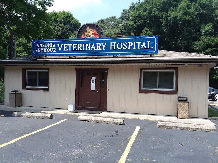 Ansonia Seymour Veterinary Hospital Picture 9