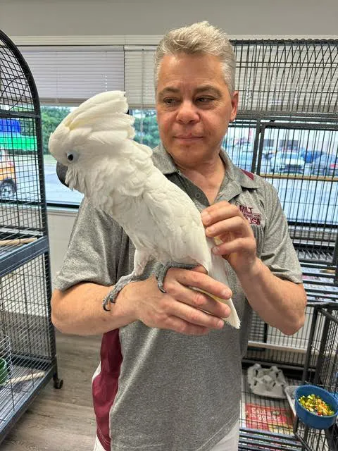 Milt's One Stop Parrot Shop Picture 3