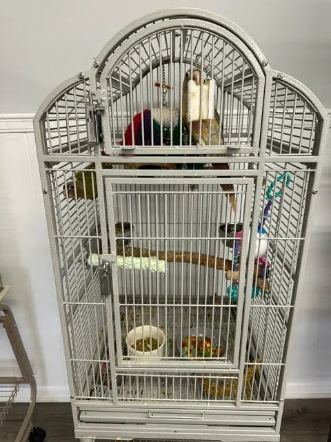 Milt's One Stop Parrot Shop Picture 7