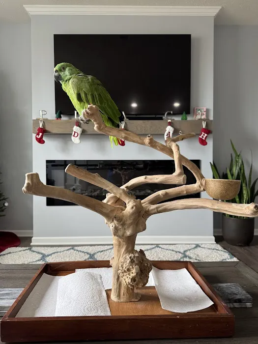 Milt's One Stop Parrot Shop Picture 9