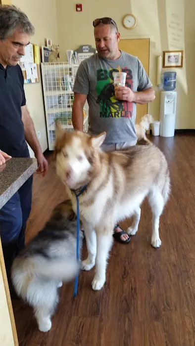 Companion Animal Hospital of Milford Picture 10