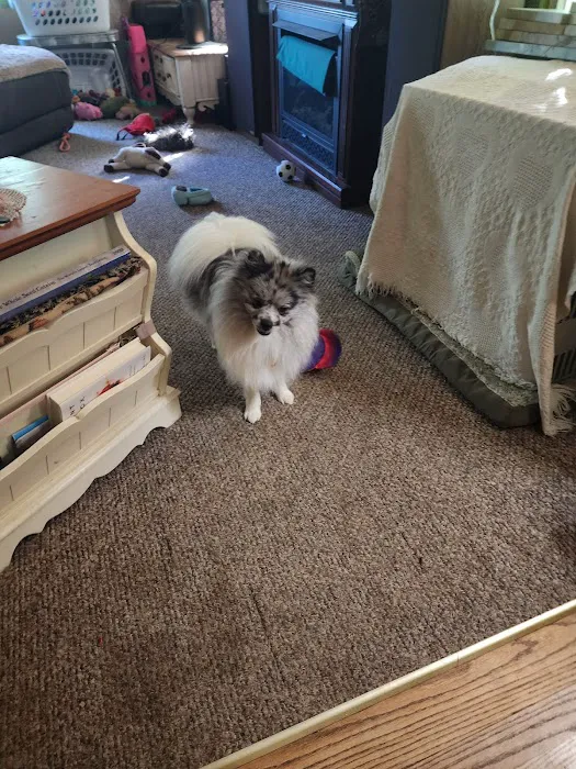 Pet Wants Madison Village Picture 2