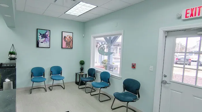 Oronoque Animal Hospital Picture 1