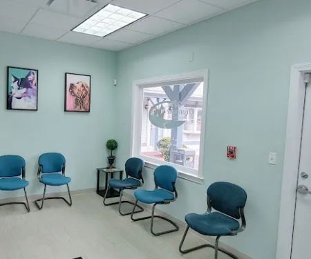 Oronoque Animal Hospital
