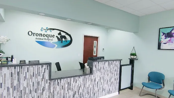 Oronoque Animal Hospital Picture 8
