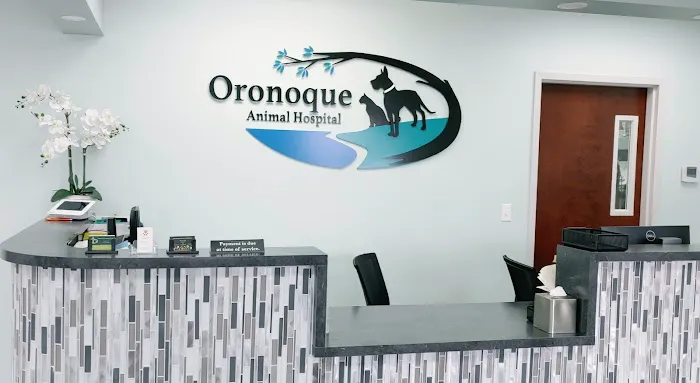 Oronoque Animal Hospital Picture 4