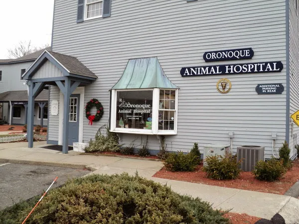 Oronoque Animal Hospital Picture 7