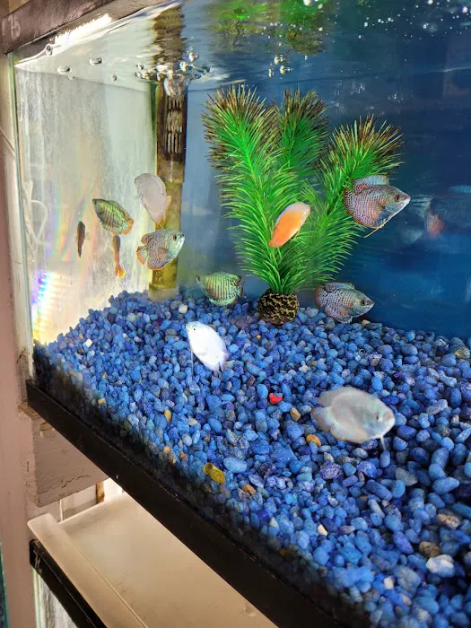 Fish City Pets Picture 4