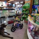 Fish City Pets