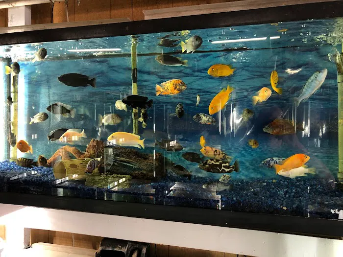 Fish City Pets Picture 10