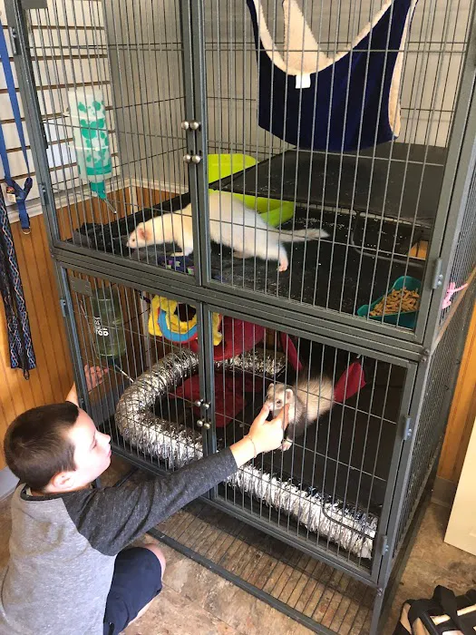 Snowflake Pet Center Picture 10