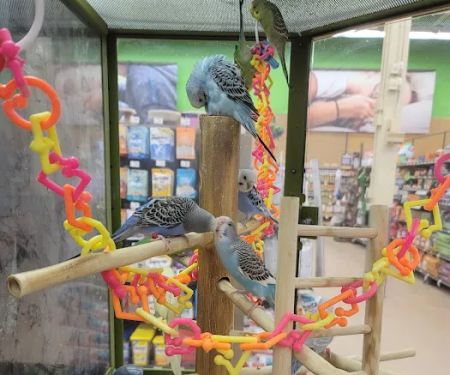 Petco