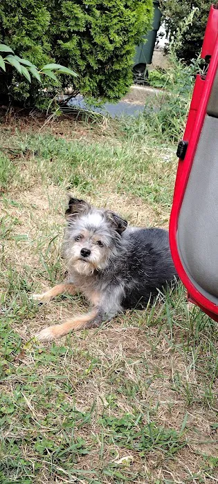Vetco Vaccination Clinic Picture 1