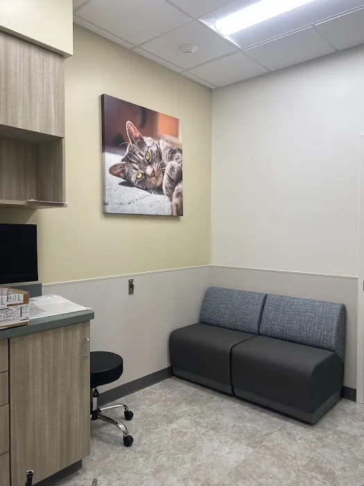 VCA Mount Kisco Veterinary Clinic Picture 7