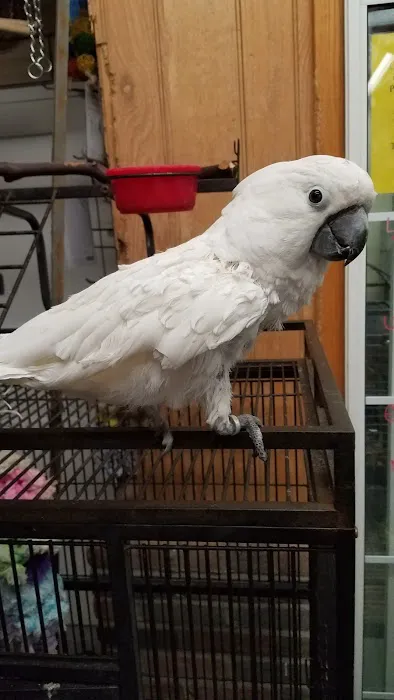 Pet Connection Picture 2