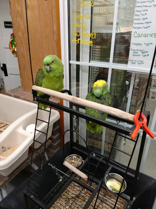 Pet Connection Picture 10