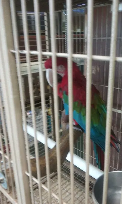 Morrison's Pets Picture 10