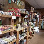 Backyard Feeding Station / Madison Ohio