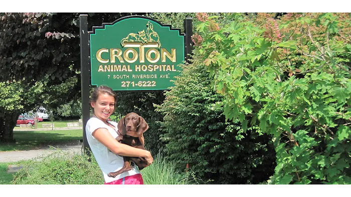 Croton Animal Hospital Picture 6