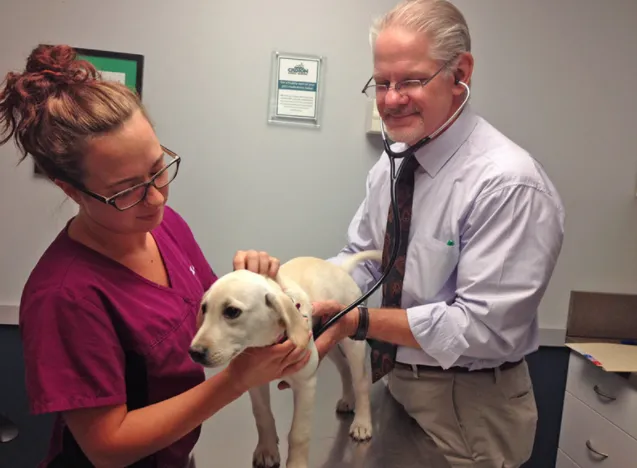 Croton Animal Hospital Picture 10