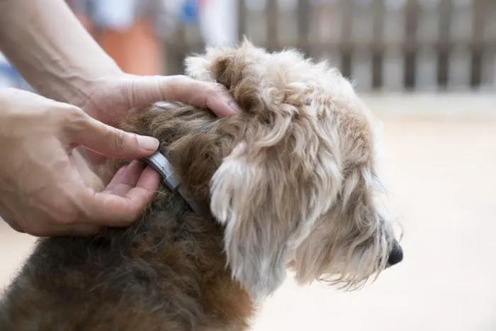 Croton Animal Hospital Picture 8