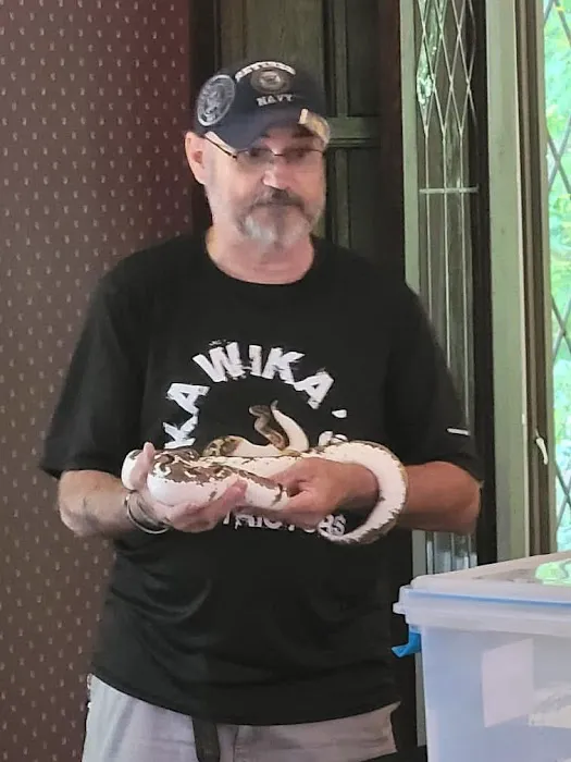 Kawika's Konstrictors, LLC. (Ball Python Breeding) Picture 9
