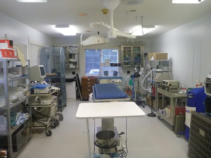 Bedford Greenwich Animal Hospital Picture 8