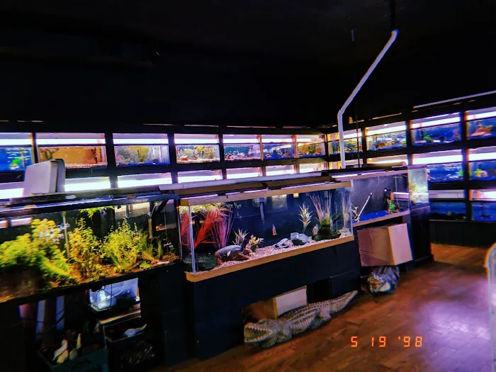 Edgewood Pet Center Picture 8