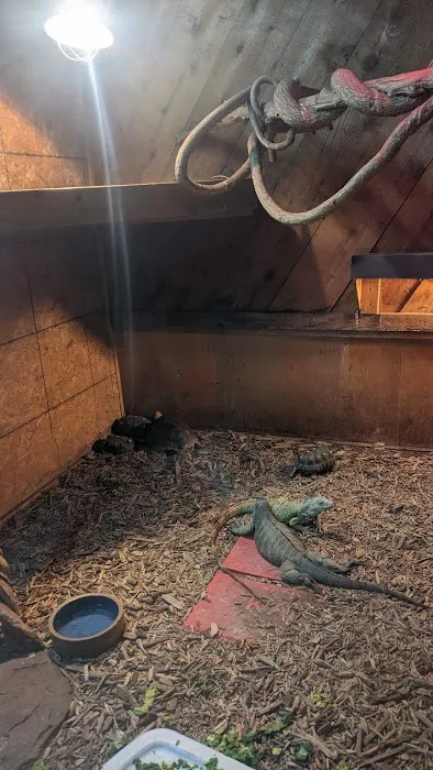 Edgewood Pet Center Picture 9