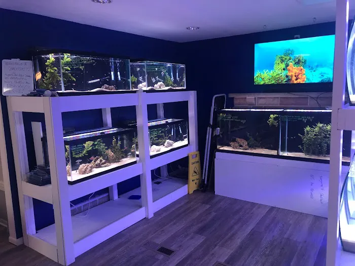 SharkBait LLC Picture 9