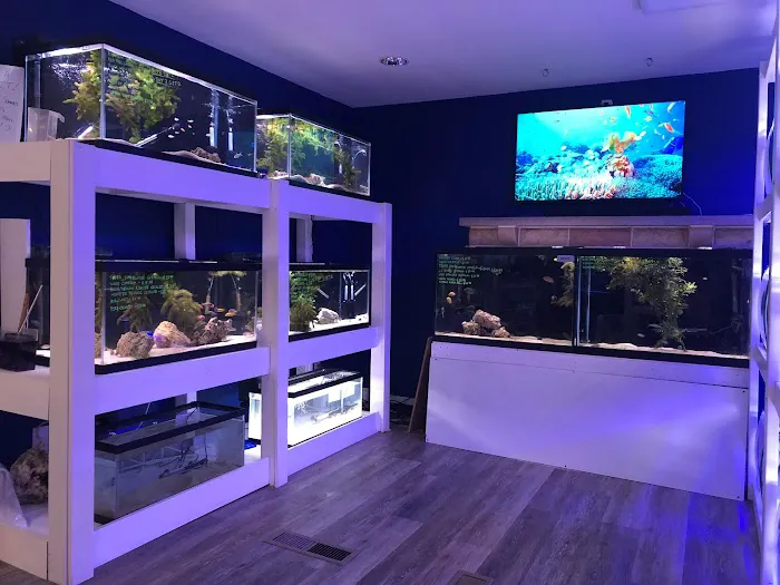 SharkBait LLC Picture 6