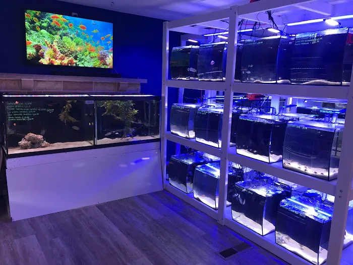 SharkBait LLC Picture 7