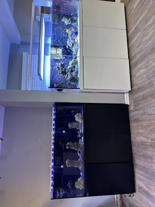 SharkBait LLC Picture 3