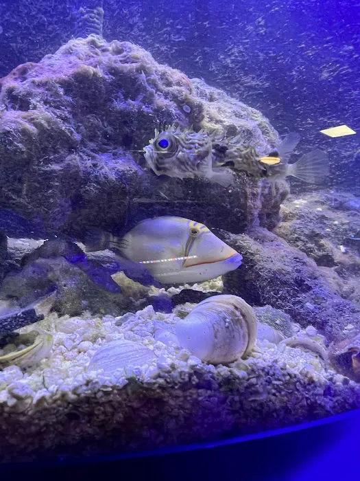 SharkBait LLC Picture 2