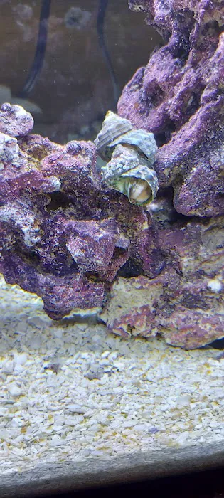 SharkBait LLC Picture 8