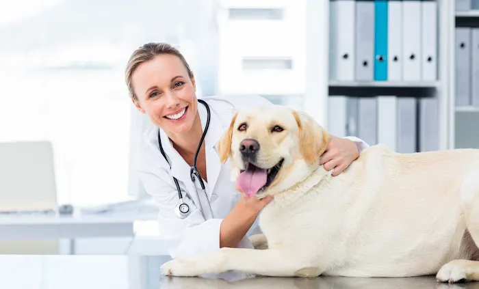 PetSmart Veterinary Services - Norwalk Picture 6