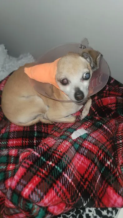 PetSmart Veterinary Services - Norwalk Picture 7